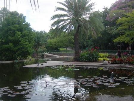 Brisbane City Botanic Gardens - Accommodation Whitsundays