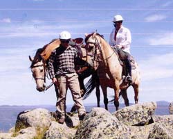 High Country Horses - Accommodation Whitsundays